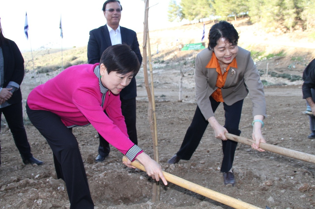 李会长为“中以友谊林”种下第一个棵树